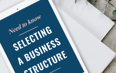 Part 2 Need To Know: Selecting A Business Structure